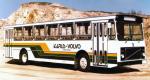 Ikarus 555 1980 года
